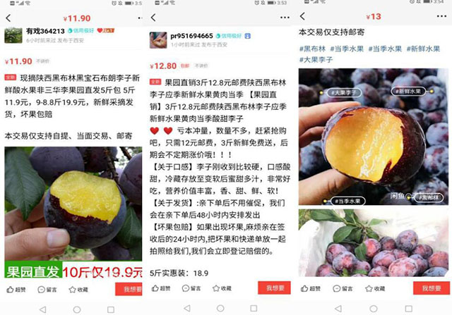 實操分享：小白輕松月入10000+的閑魚玩法 流量 網(wǎng)賺 電子商務 經(jīng)驗心得 第2張