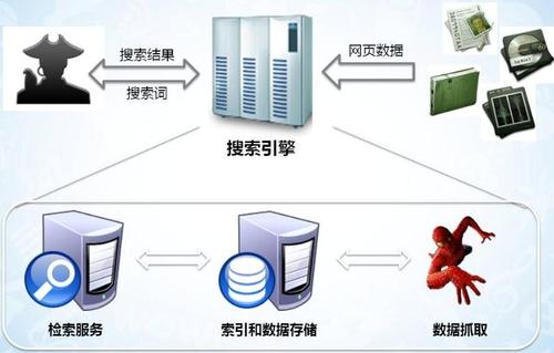 搜索引擎蜘蛛抓取策略，如何吸引更多蜘蛛