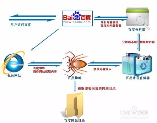 搜索引擎蜘蛛抓取策略，如何吸引更多蜘蛛