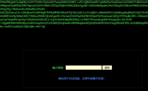 【黑客技術(shù)】PHP大馬后門分析