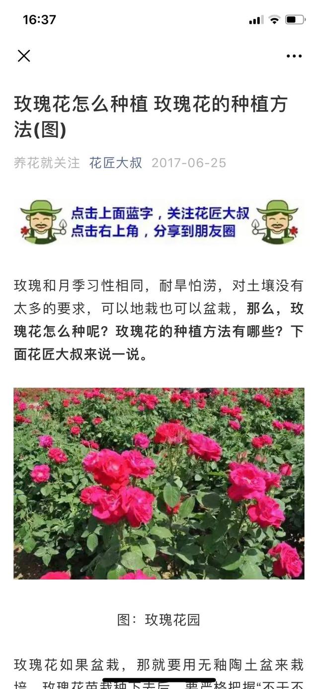 玩轉(zhuǎn)微信SEO引流不斷玩轉(zhuǎn)微信SEO引流案例實操