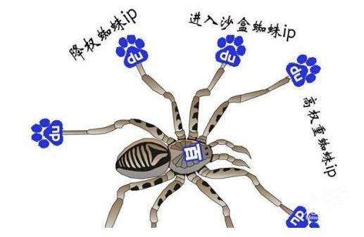 搜索引擎百度蜘蛛詳解，百度蜘蛛IP分析