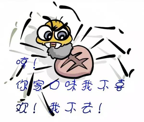 SEO的秘密：一只百度蜘蛛的獨(dú)白