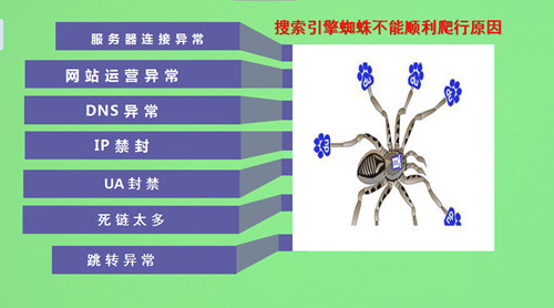 搜索引擎的蜘蛛是如何爬的，如何吸引蜘蛛來(lái)抓取頁(yè)面