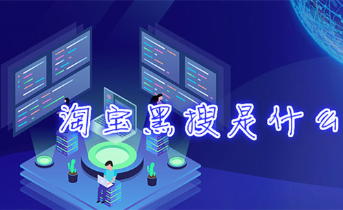 淘寶黑搜核心技術(shù)分享，黑搜怎么排名到首頁？
