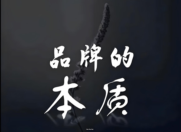 品牌的本質(zhì)品牌營銷與互聯(lián)網(wǎng)品牌的引導術(shù)
